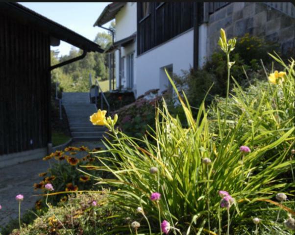 Apartamento Lichteck - Helle Ferien Breitenberg  Exterior foto